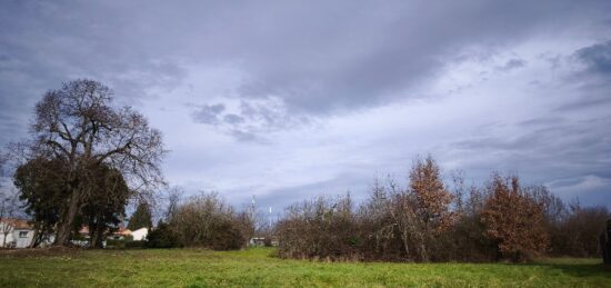 Terrain à bâtir à Gaillac, Occitanie