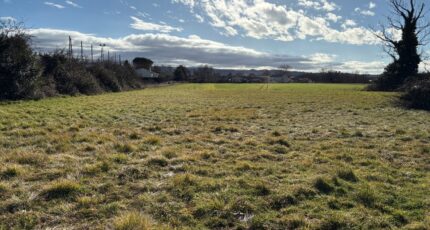 Castres Maison neuve - 2272357-5649annonce120250916mWRol.jpeg Oc Résidences