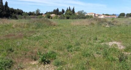 Paraza Terrain à bâtir - 2276438-11177annonce1202509198ZVnU.jpeg Oc Résidences