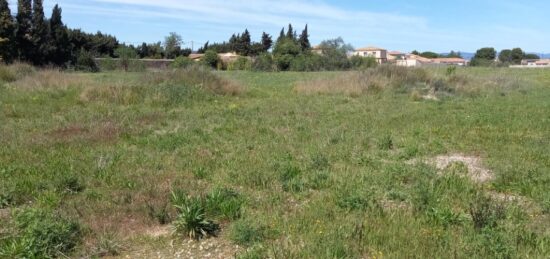 Terrain à bâtir à Paraza, Occitanie