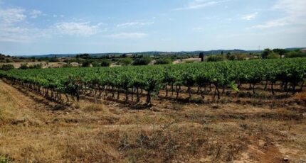 Nézignan-l'Évêque Maison neuve - 2280880-11177annonce120250923xVTKs.jpeg Oc Résidences