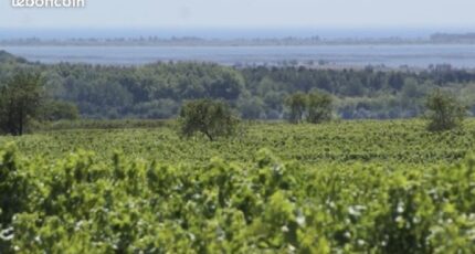 Pinet Terrain à bâtir - 2281224-11177annonce120250923oKAfn.jpeg Oc Résidences