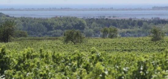Terrain à bâtir à Pinet, Occitanie