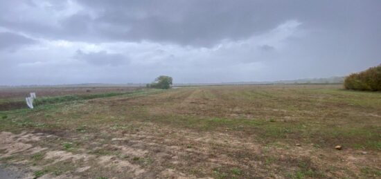 Terrain à bâtir à , Hérault