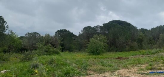 Terrain à bâtir à Marcorignan, Occitanie