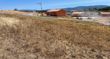 Castres Maison neuve - 2295546-5649annonce120240523Ur6r4.jpeg Oc Résidences