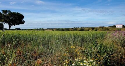 Marseillan Terrain à bâtir - 2308850-11177annonce120251017eTAZC.jpeg Oc Résidences