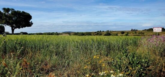 Terrain à bâtir à Marseillan, Occitanie