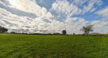 Graulhet Maison neuve - 2276496-3177annonce1202509196yzBX.jpeg Oc Résidences