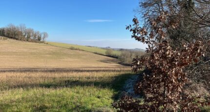 Mailhoc Maison neuve - 2315137-3177annonce120250114rvF0I.jpeg Oc Résidences