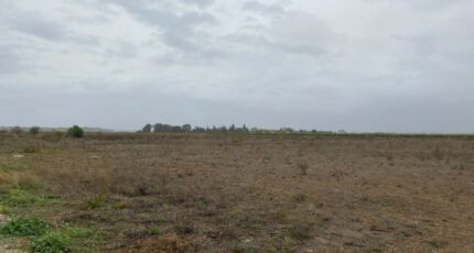 Montady Terrain à bâtir - 2321273-11177annonce220251029ZmRDc.jpeg Oc Résidences