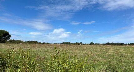 Lagrave Terrain à bâtir - 2267503-3177annonce12025091157khe.jpeg Oc Résidences