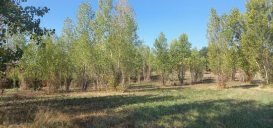Terrain à bâtir à Mézens, Occitanie