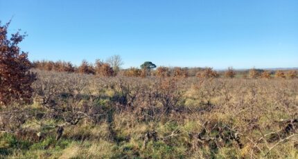 Técou Terrain à bâtir - 2271355-3177annonce120250509Tz6Ed.jpeg Oc Résidences