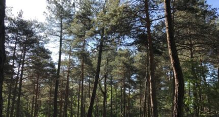 Payrin-Augmontel Maison neuve - 2272958-4583annonce120231228d2tXG.jpeg Oc Résidences