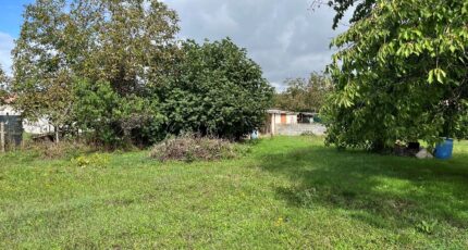 Albi Maison neuve - 2272985-3177annonce120250916rni9p.jpeg Oc Résidences