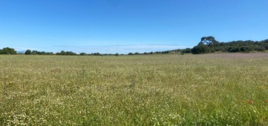 Terrain à bâtir à , Hérault