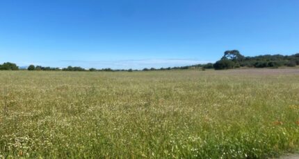 Bessan Terrain à bâtir - 2248070-11177annonce120250821vsExG.jpeg Oc Résidences