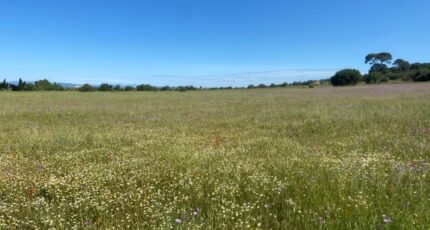 Bessan Terrain à bâtir - 2248070-11177annonce220250821gw68n.jpeg Oc Résidences