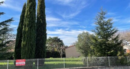 Revel Maison neuve - 2253206-3185annonce12025082872yWG.jpeg Oc Résidences