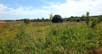 Sauvian Terrain à bâtir - 2340863-11177annonce220251117Hee0c.jpeg Oc Résidences