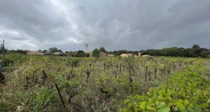 Pinet Maison neuve - 2347573-11177annonce120251124dSUqW.jpeg Oc Résidences