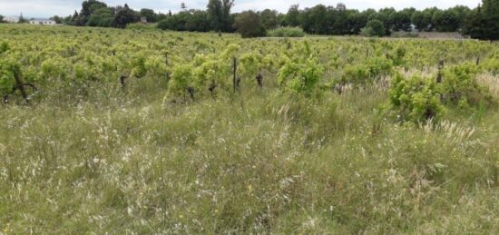 Terrain à bâtir à , Aude
