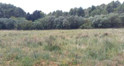 Bize-Minervois Maison neuve - 2259404-11177annonce220250903di2D7.jpeg Oc Résidences