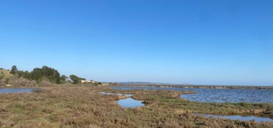 Terrain à bâtir à Bages, Occitanie