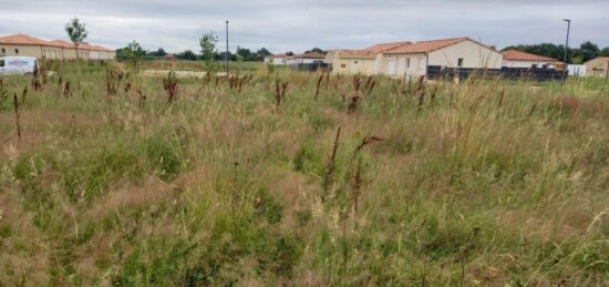 Terrain à bâtir à Montbeton, Occitanie