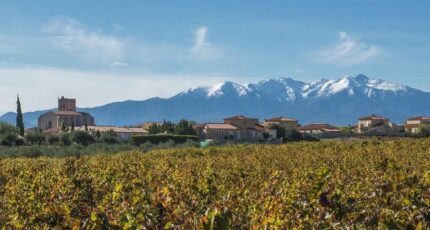 Baixas Terrain à bâtir - 2274112-11379annonce220250917tTqJA.jpeg Oc Résidences