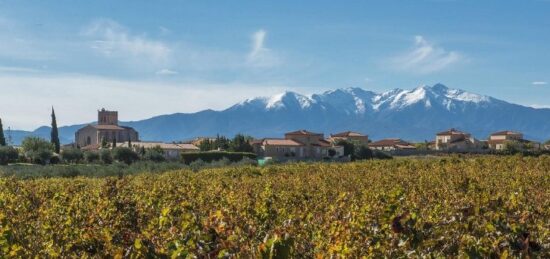 Terrain à bâtir à , Pyrénées-Orientales