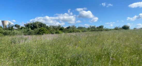 Terrain à bâtir à , Hérault