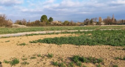 Canet Terrain à bâtir - 2297244-11177annonce120251007awP0t.jpeg Oc Résidences