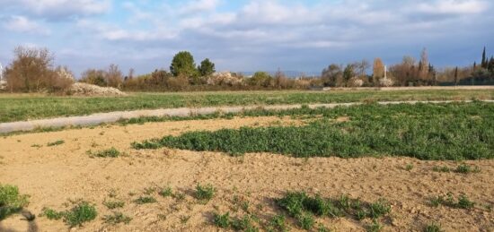 Terrain à bâtir à Canet, Occitanie