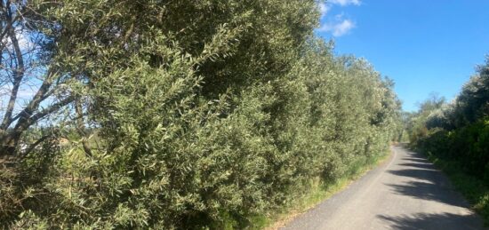 Terrain à bâtir à , Aude