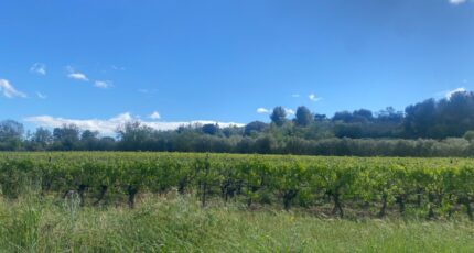 Ginestas Maison neuve - 2297474-11177annonce1202510077uxIl.jpeg Oc Résidences