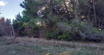 Moussan Maison neuve - 2297528-11177annonce120251007SgGy8.jpeg Oc Résidences