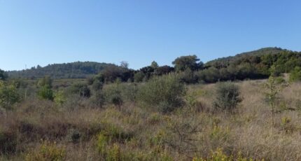 Portel-des-Corbières Terrain à bâtir - 2297616-11177annonce220251007VIP20.jpeg Oc Résidences