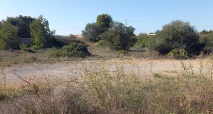 La Palme Maison neuve - 2297565-11177annonce120251007irB97.jpeg Oc Résidences