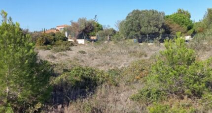 La Palme Maison neuve - 2297562-11177annonce220251007KqKt8.jpeg Oc Résidences