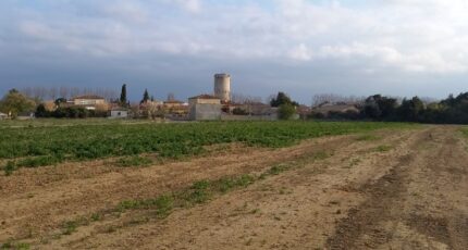 Canet Terrain à bâtir - 2298802-11177annonce220251008QV86b.jpeg Oc Résidences