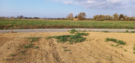 Terrain à bâtir à Canet, Occitanie