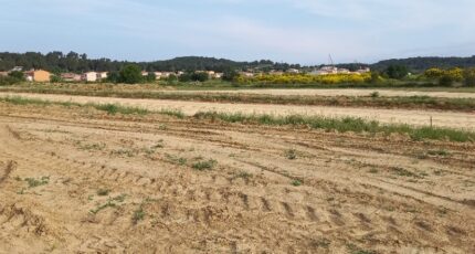 Lézignan-Corbières Terrain à bâtir - 2298920-11177annonce220251008Tklpr.jpeg Oc Résidences