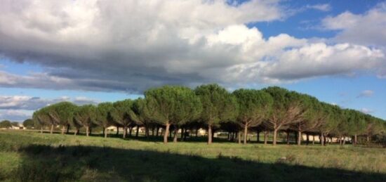 Terrain à bâtir à , Hérault