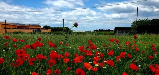 Terrain à bâtir à , Hérault