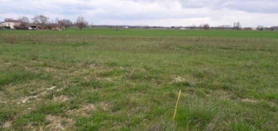 Terrain à bâtir à Montans, Occitanie