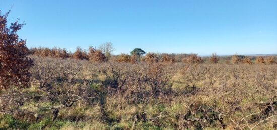 Terrain à bâtir à Técou, Occitanie