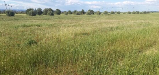 Terrain à bâtir à , Aude