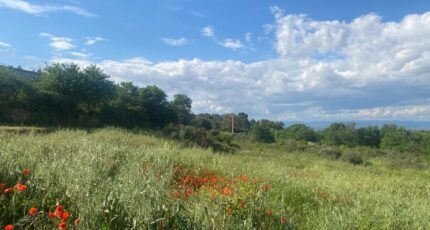 Boutenac Maison neuve - 2290202-11177annonce220251001Pr4WD.jpeg Oc Résidences